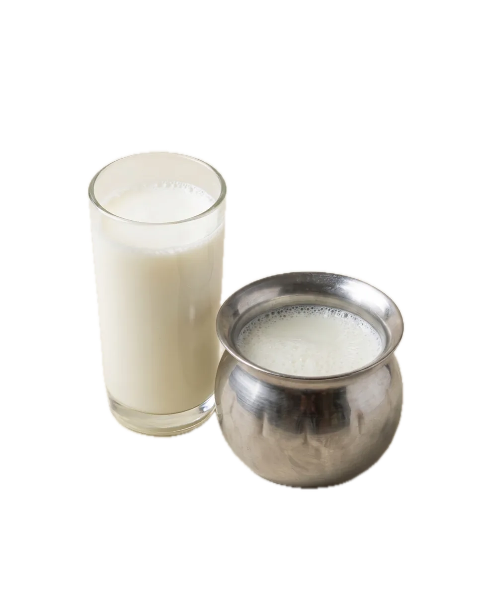 Buffalo Milk